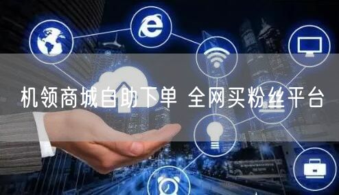机领商城自助下单 全网买粉丝平台