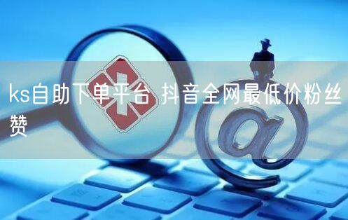 ks自助下单平台 抖音全网最低价粉丝赞