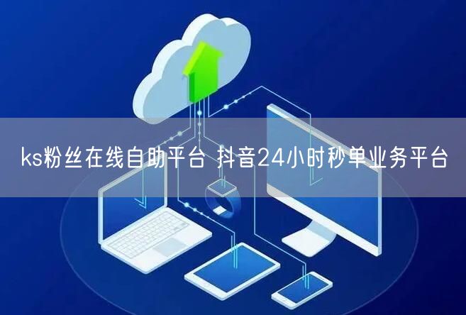 ks粉丝在线自助平台 抖音24小时秒单业务平台