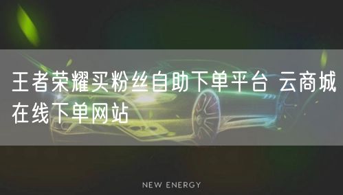 王者荣耀买粉丝自助下单平台 云商城在线下单网站