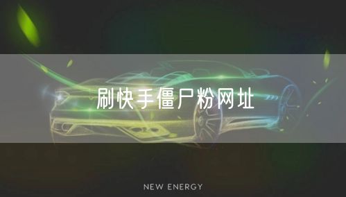 刷快手僵尸粉网址