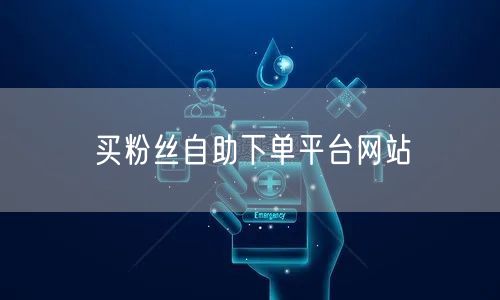 买粉丝自助下单平台网站