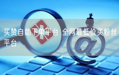 买赞自助下单平台 全网最低价买粉丝平台