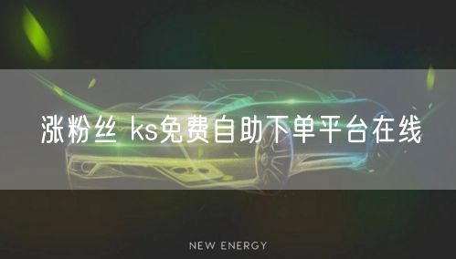 涨粉丝 ks免费自助下单平台在线