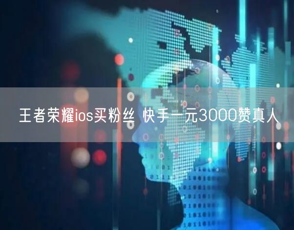 王者荣耀ios买粉丝 快手一元3000赞真人