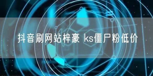 抖音刷网站梓豪 ks僵尸粉低价