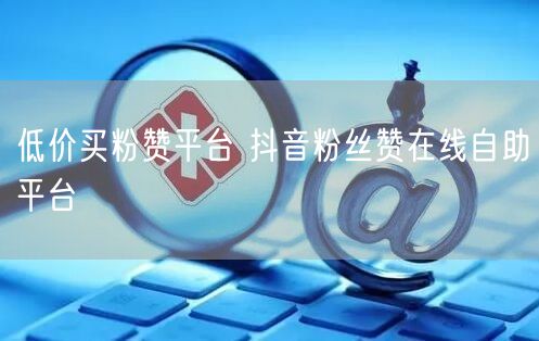 低价买粉赞平台 抖音粉丝赞在线自助平台