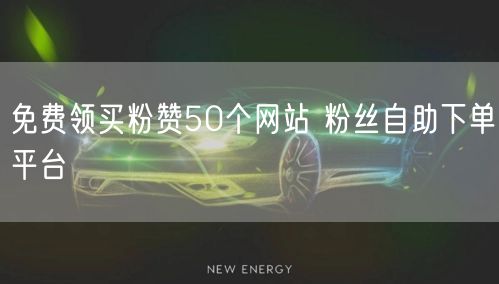 免费领买粉赞50个网站 粉丝自助下单平台