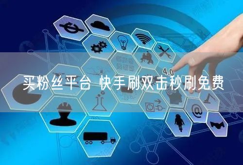 买粉丝平台 快手刷双击秒刷免费