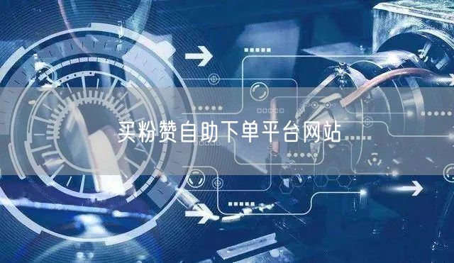 买粉赞自助下单平台网站