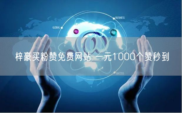 梓豪买粉赞免费网站 一元1000个赞秒到
