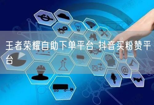 王者荣耀自助下单平台 抖音买粉赞平台