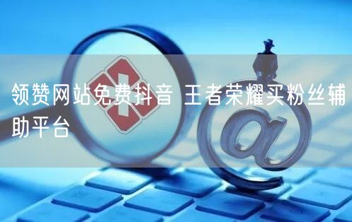 领赞网站免费抖音 王者荣耀买粉丝辅助平台