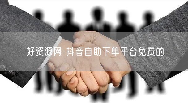 好资源网 抖音自助下单平台免费的