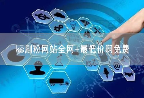ks刷粉网站全网+最低价啊免费