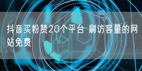 抖音买粉赞20个平台 刷访客量的网站免费
