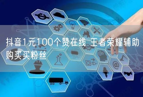 抖音1元100个赞在线 王者荣耀辅助购买买粉丝