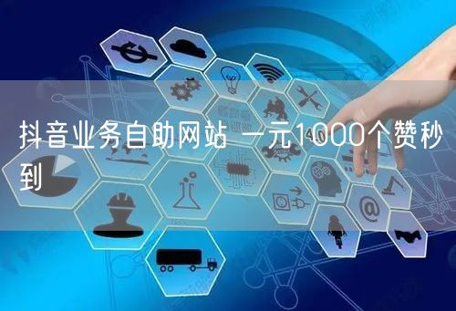抖音业务自助网站 一元1000个赞秒到