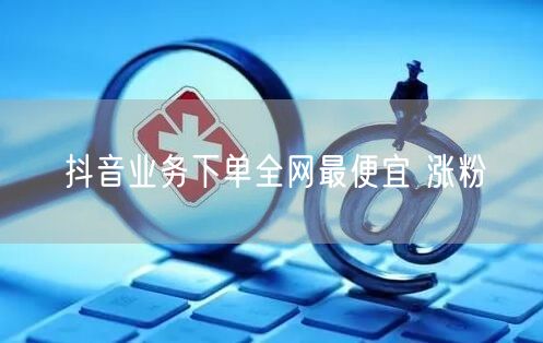 抖音业务下单全网最便宜 涨粉