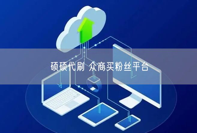 硕硕代刷 众商买粉丝平台