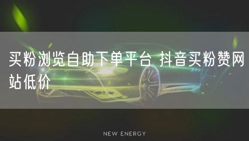 买粉浏览自助下单平台 抖音买粉赞网站低价