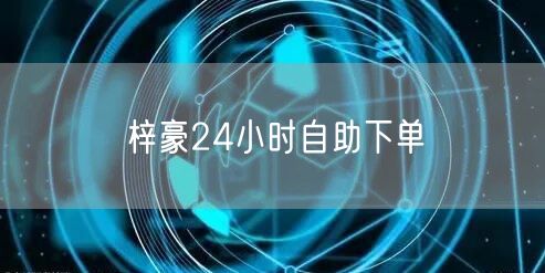 梓豪24小时自助下单