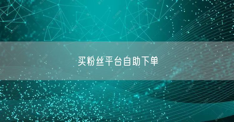 买粉丝平台自助下单
