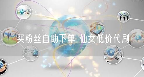 买粉丝自助下单 仙女低价代刷