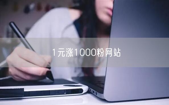 1元涨1000粉网站