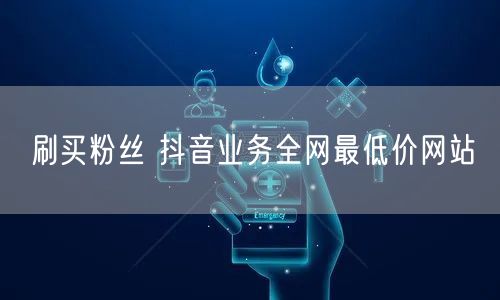 刷买粉丝 抖音业务全网最低价网站